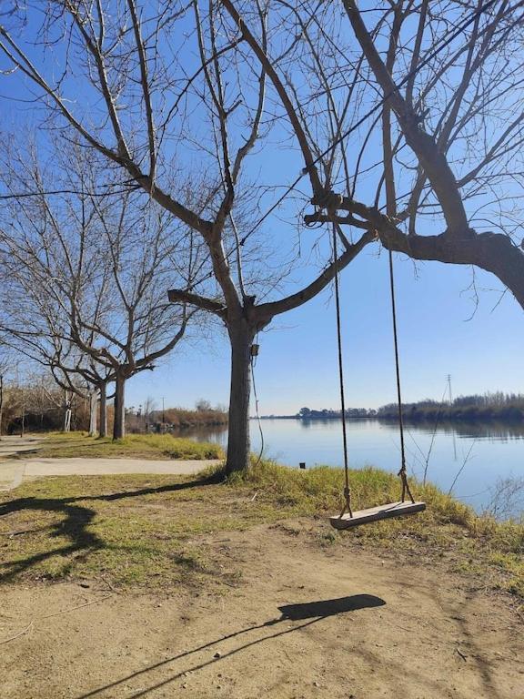 Superbe Appartement Terrasse Entierement Renove Au Bord De L'Ebre Deltebre Zewnętrze zdjęcie