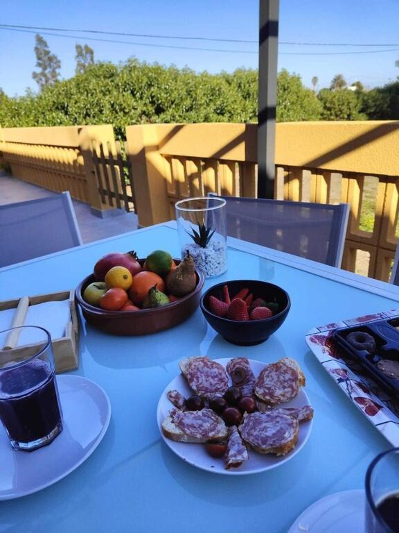 Superbe Appartement Terrasse Entierement Renove Au Bord De L'Ebre Deltebre Zewnętrze zdjęcie